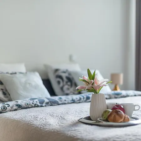 P&o Wola Tarasy Apartment *